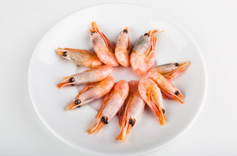 Langostinos frescos en plato