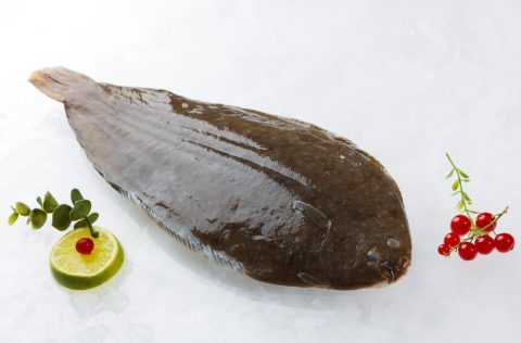 Lenguado King Sole TM - Stolt Sea Farm