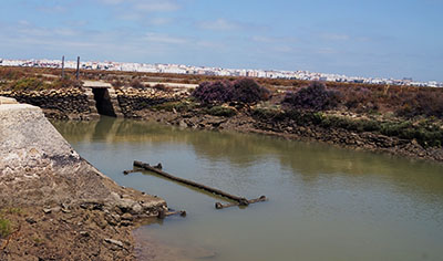 levanteyagua-san-fernando