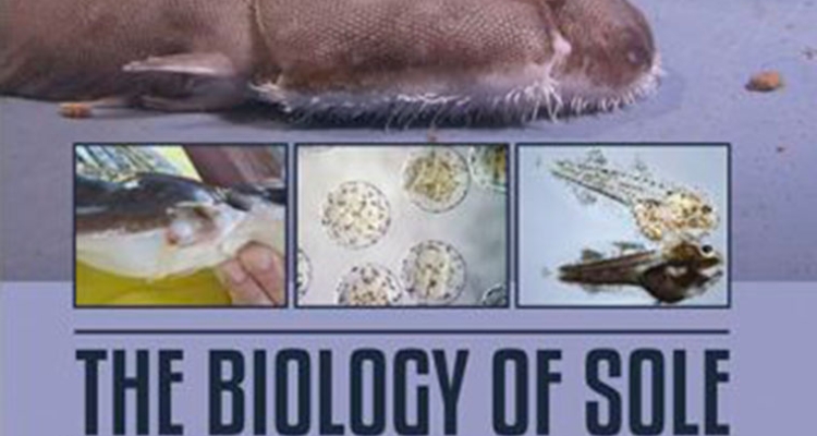 libro-the-biology-sole-munoz-cueto-L760