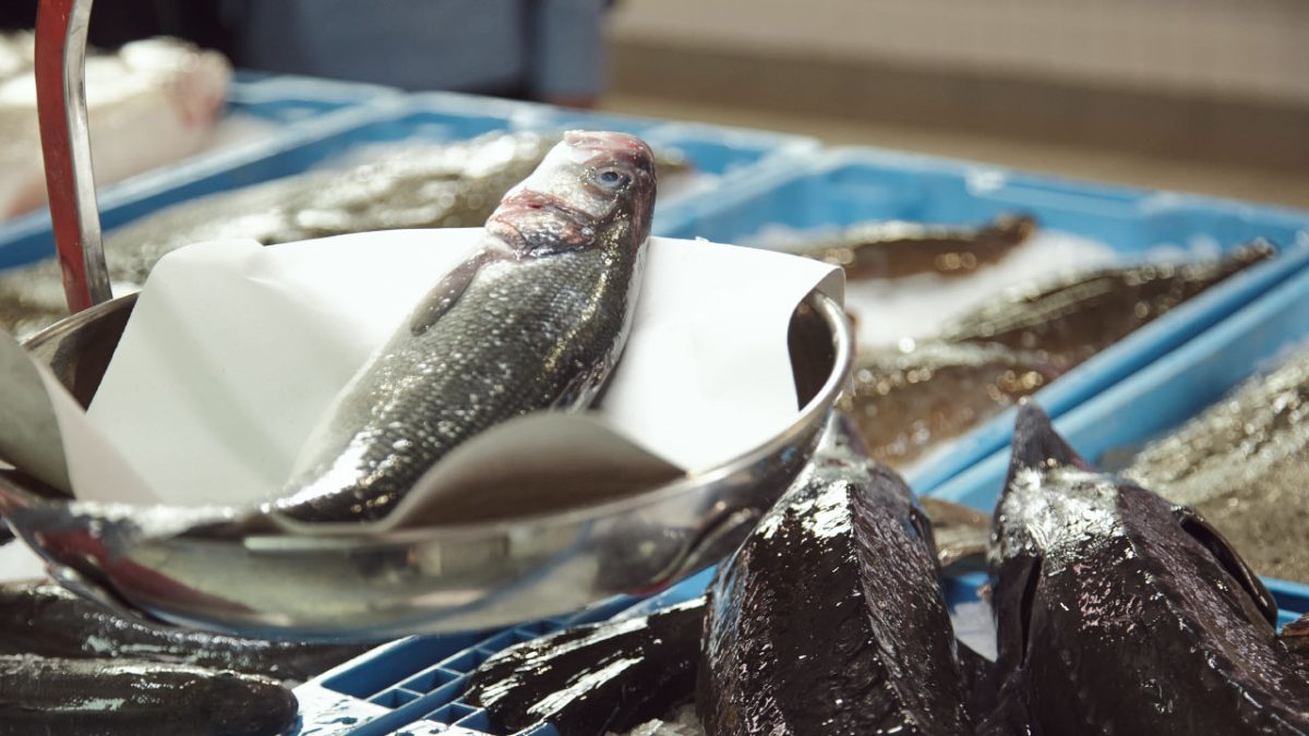 Lubina europea de Acuicultura de España en pescadería
