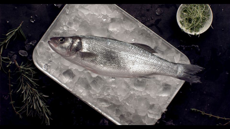 Lubina en cama de hielo