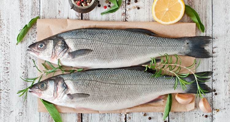 Lubina europea (Dicentrarchus labrax) sobre tabla