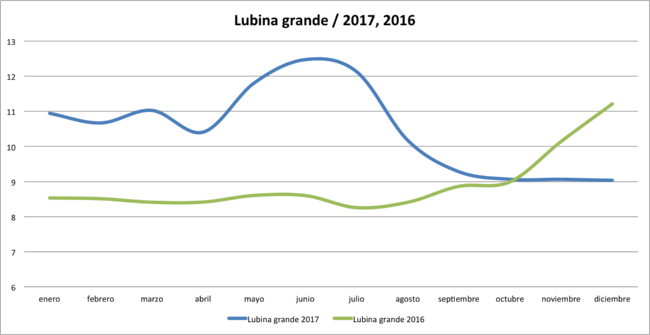 lubina-grande-2017 lubina-grande-2017