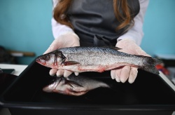 La lubina en Mercamadrid muestra tensiones con caídas de volumen y precios desiguales según la talla