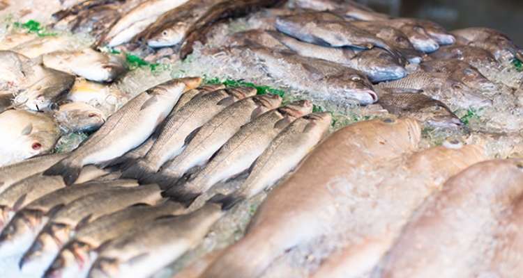 lubina-pescado-mercado