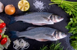 Proyecto CREA&MAR, haciendo fácil con innovación el consumo de productos del mar
