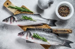 La selección genética permite que las lubinas se adapten a la disponibilidad de ingredientes en los piensos