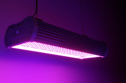Luces LED de techo