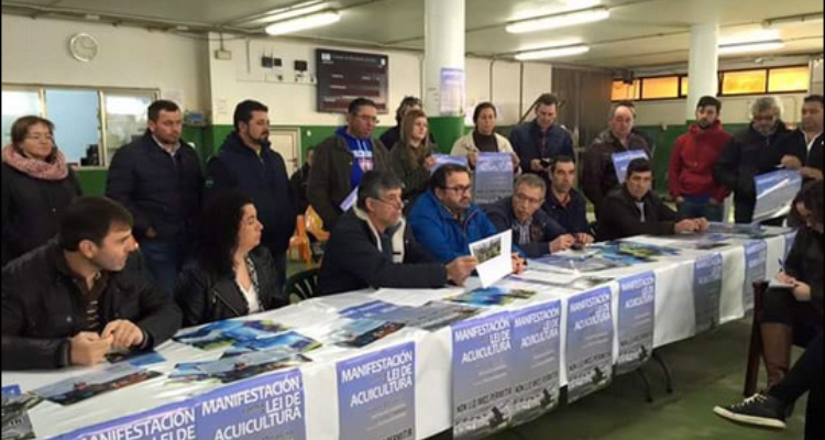 manifestacion-pdra-ley-galicia