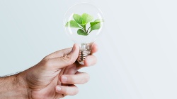Economía circular y acuicultura: las proteínas animales terrestres como materia prima en piensos acuícolas