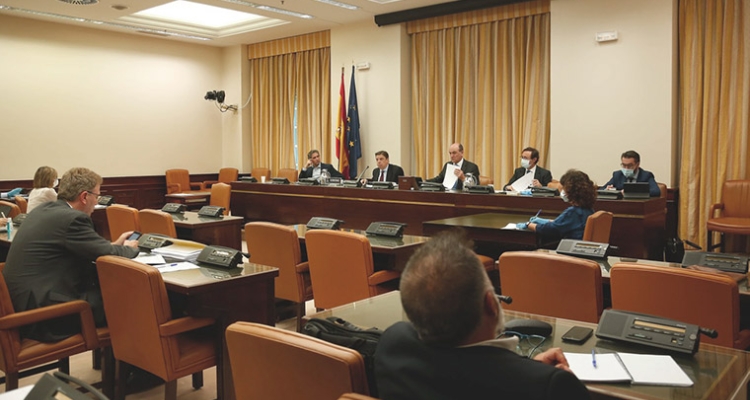 Ministerio de Agricultura, Pesca y Alimentación durante Comisión en mayo 2020 Ministerio de Agricultura, Pesca y Alimentación durante Comisión en mayo 2020