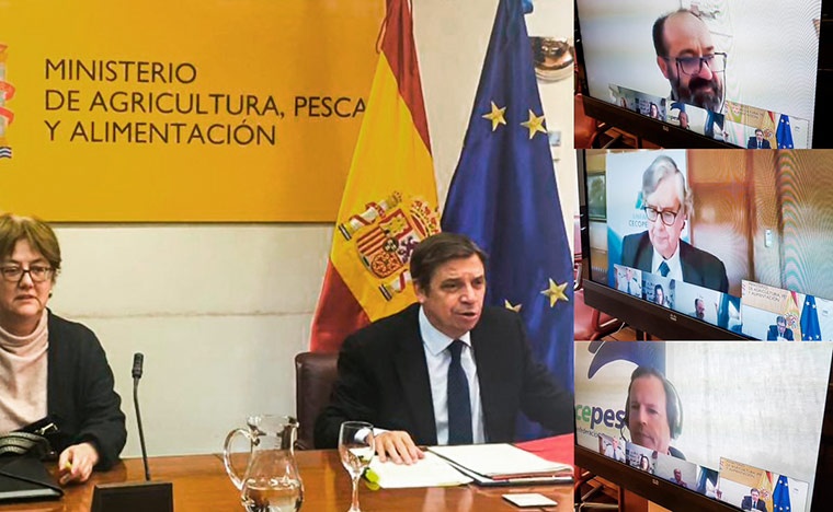 Vídeochat Ministerio Agricultura, sector pesquero y acuícola durante COVID19. Abr.2020