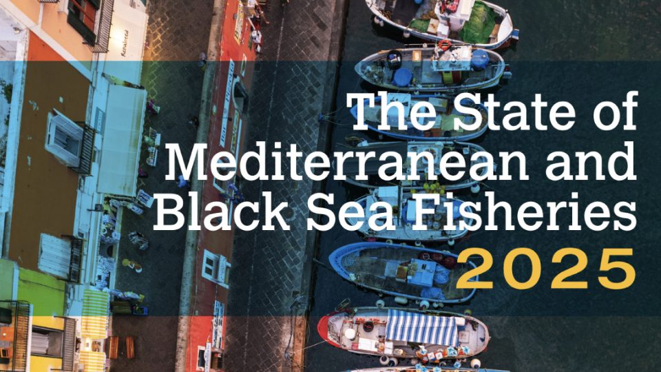 Mar Mediterráneo y Mar Negro 2025