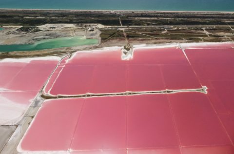 Marea roja en salina