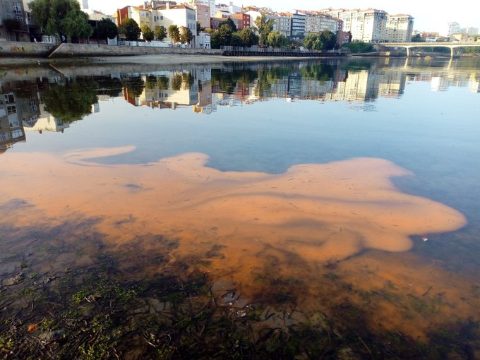 Marea roja en Galicia