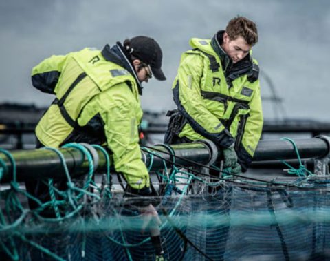 Trabajadores Marine Harvest Group