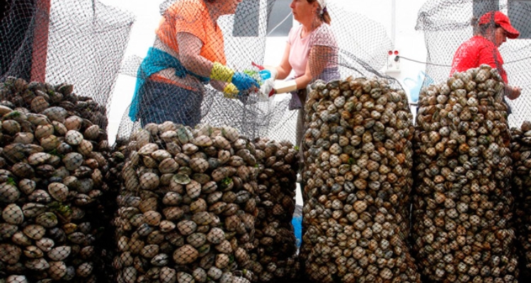 mariscadoras-foro-economico