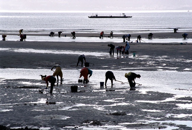 mariscadoras-galicia-w