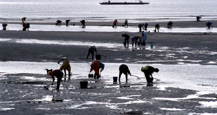 mariscadoras-galicia-w
