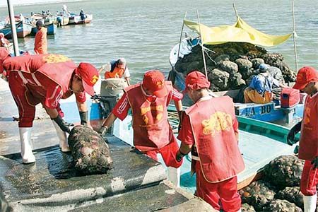 Cetmar concluye tres años de trabajos en el proyecto Acuipesca Perú, para potenciar la maricultura en la Bahía de Sechura