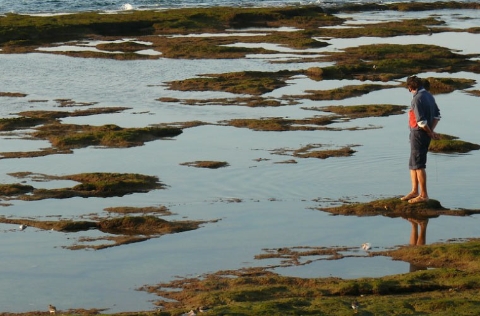 Marisqueo Mar de Galicia