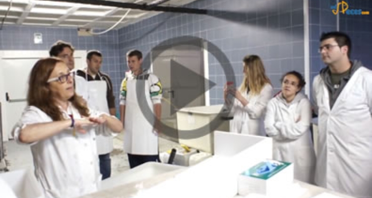 master-acuipesca-video
