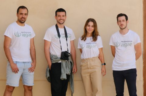 Mediterranean Algae Technology