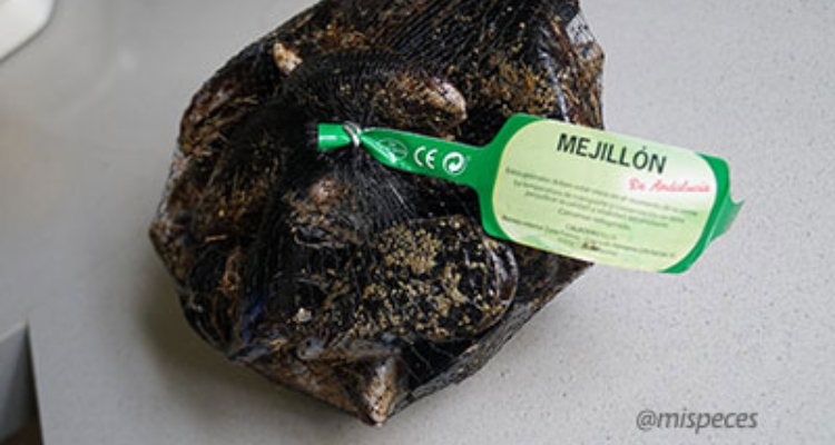 mejillon-bolsa-andalucia