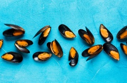 ¿Qué hacer con las conchas de mejillón? ¿Es posible darle un uso rentable?