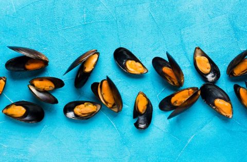 Mejillones del Mediterráneo sobre tabla