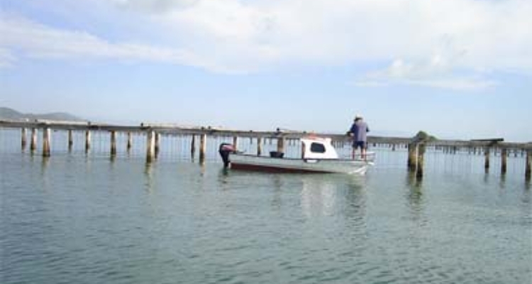 mejilloneras_delta_ebro_ogimeno_panoraimo