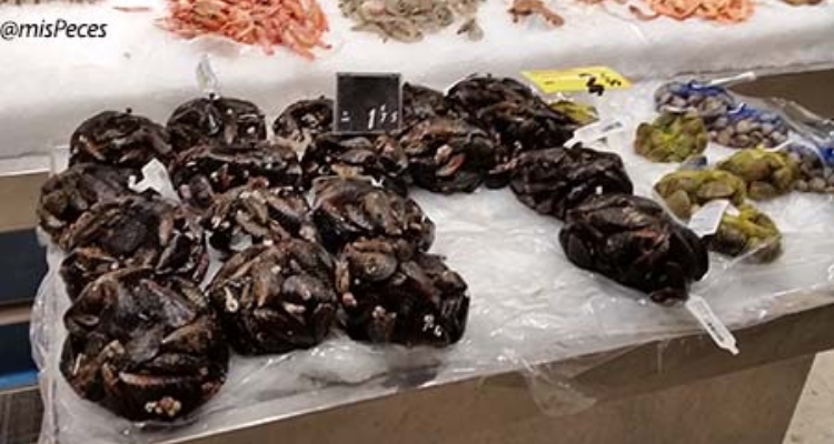 mejillones-bolsas-supermercado