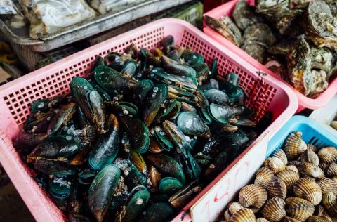 Mejillones y marisco