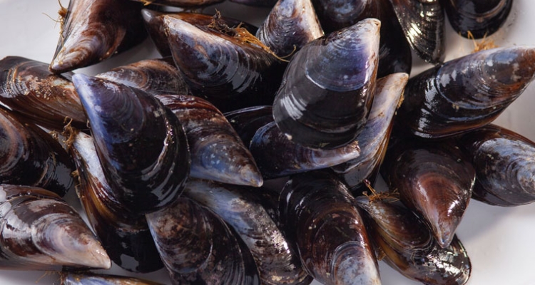mejillones-pais-vasco-760
