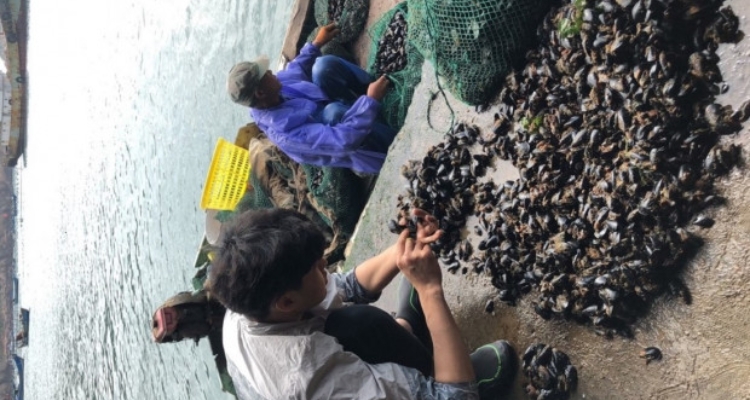 mejillones-proyecto-ccmar-asia-1