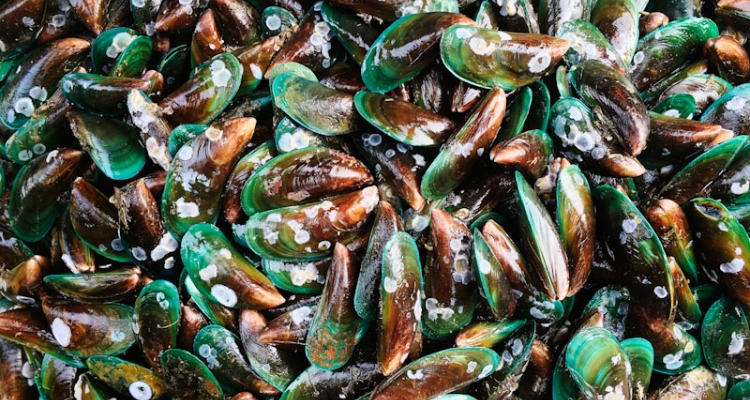 mejillones-verdes-800
