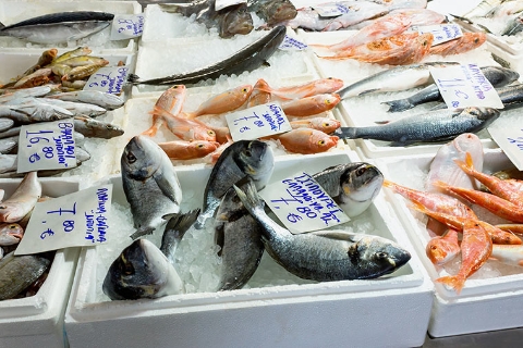 Pescadería en Grecia, dorada en primer plano