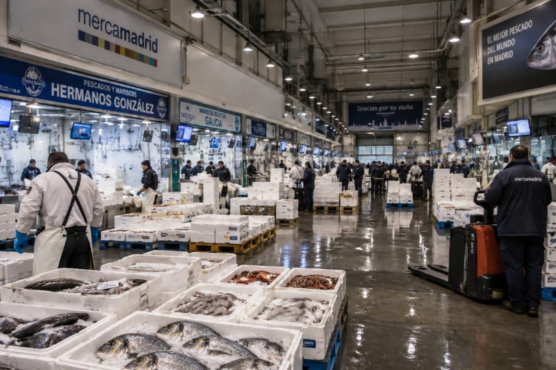 La dorada española pierde cuota en Mercamadrid pese al crecimiento del consumo doméstico