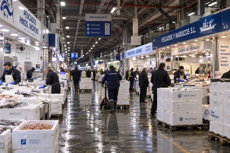 La lubina gana volumen en Mercamadrid pese al retroceso del consumo doméstico