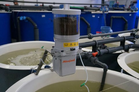 Mirafeed System /Innovaqua