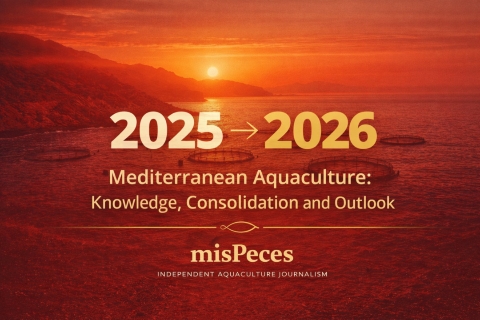 mispeces-commitment-2026