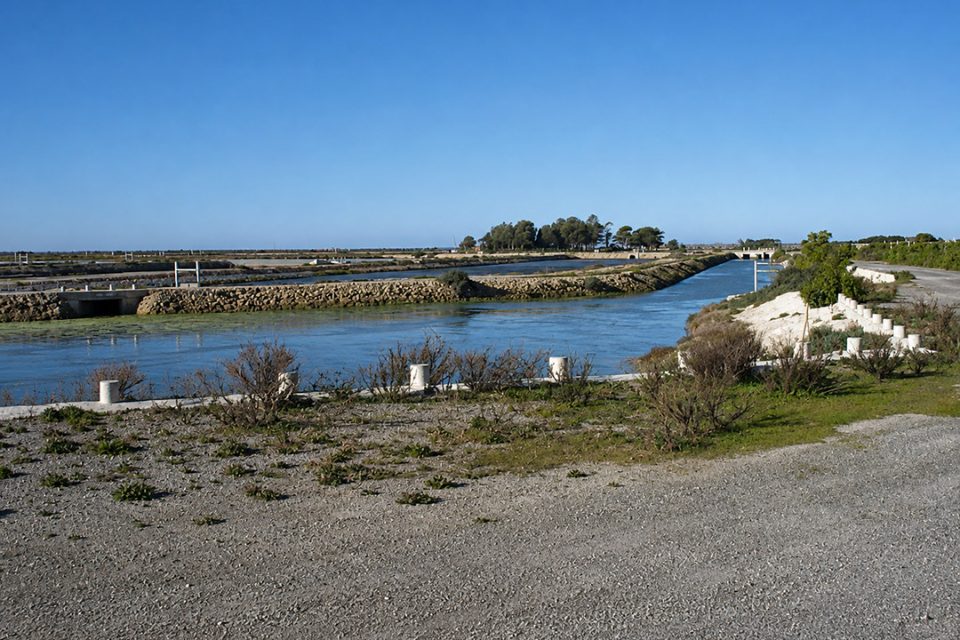 Estero en Chiclana de La Molinera