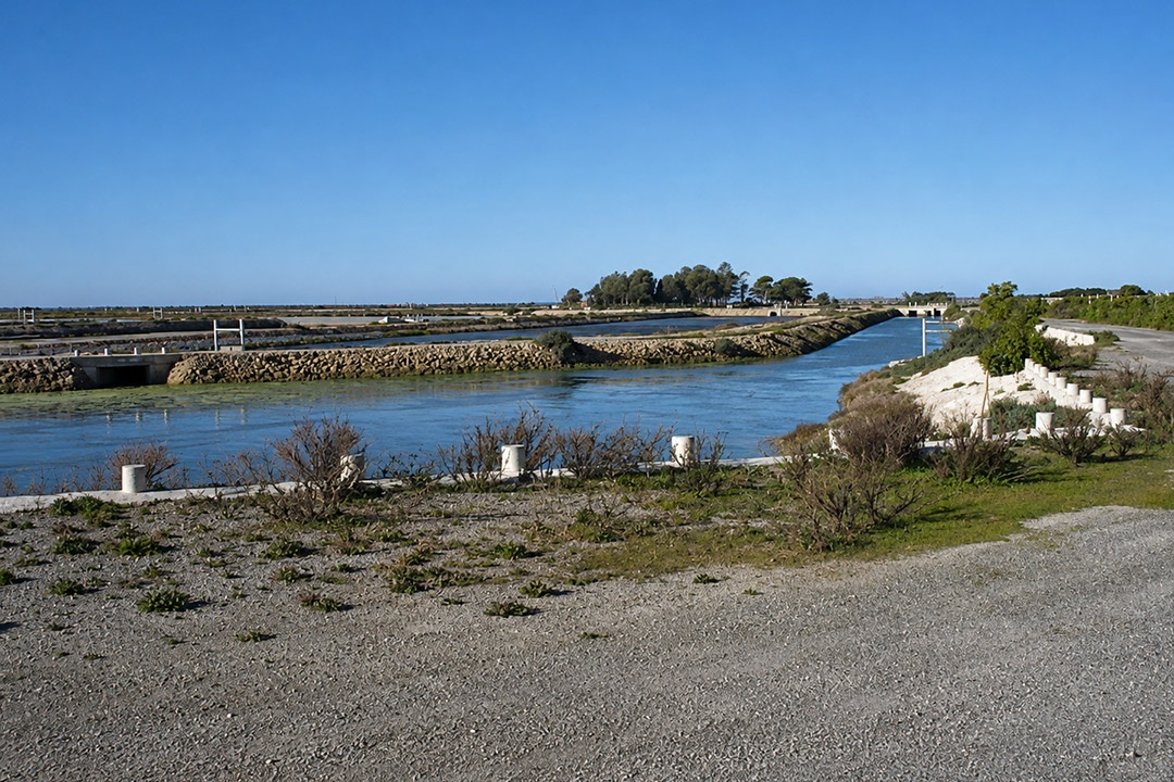 Estero en Chiclana de La Molinera