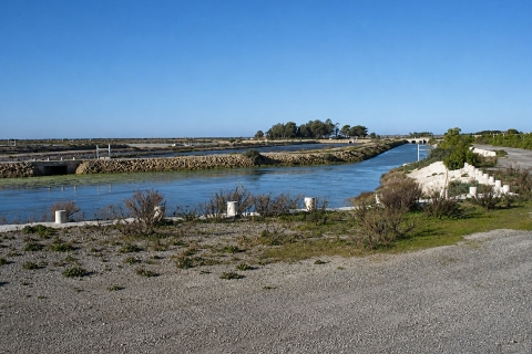 Estero en Chiclana de La Molinera