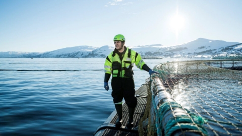 Granja de producción de salmón de Mowi en Noruega