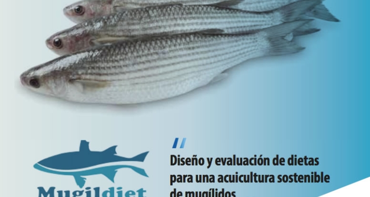 mugildiet-proyecto