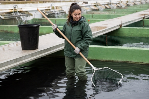 Mujer trabaja acuicultura continental