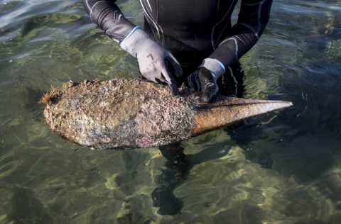 Nacra (Pinna nobilis) con técnico /Foto: IRTA