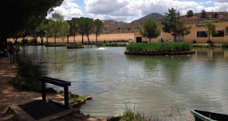 naturix-lago